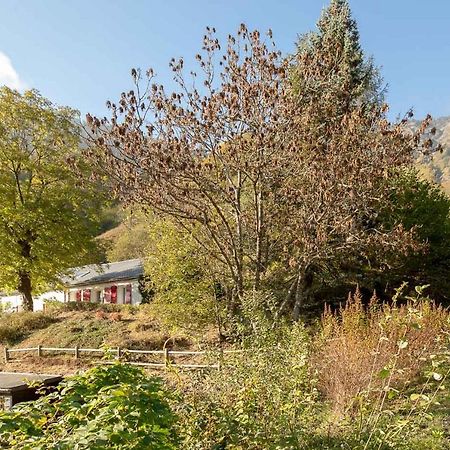 Comfortable Farm House Petit Barzun, In The Parc National Pyrenees Barèges Exterior foto